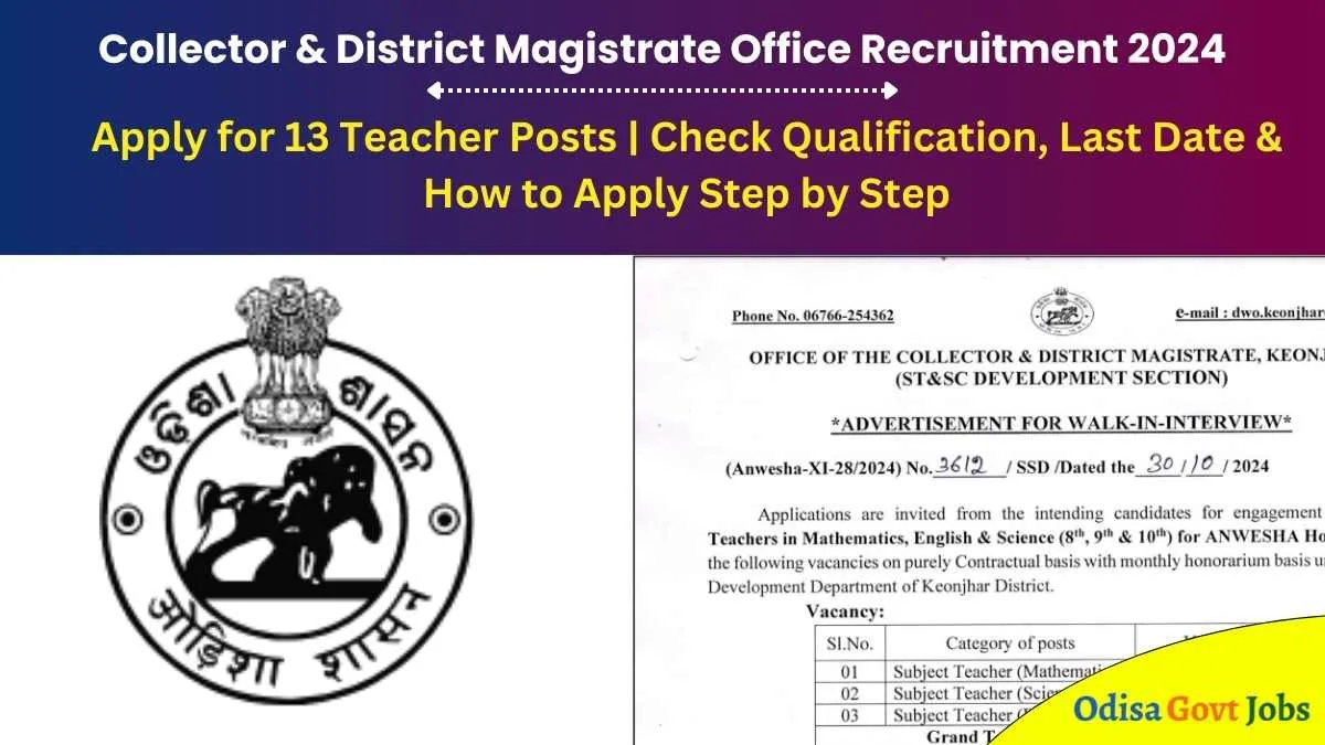 Collector & District Magistrate Office Recruitment 2024